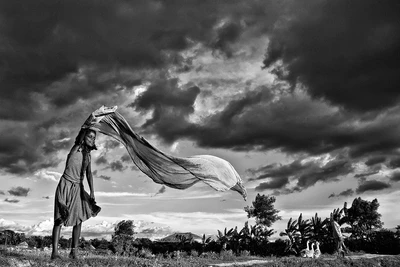 Gone with the wind